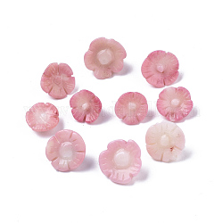 Perles de corail synthétiques sculptées à la main, perles percées, fleur, teinte, rose, 8~13x4~8mm, Trou: 0.8mm