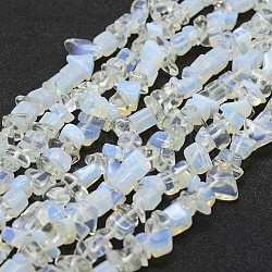 Chapelets de perles d'opalite, puce, clair, 3~5x7~13x2~4mm, Trou: 0.4mm, 34.9 pouce