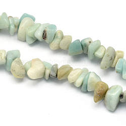 Natural Amazonite Stone Bead Strands, Chip, 8~18x6~12x3~7mm, Hole: 1mm: 1mm, about 160pcs/strands, 34.6 inch
