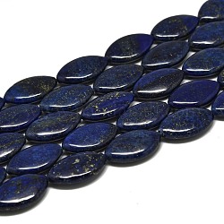 Filo di Perle lapis lazuli naturali , occhio di cavallo, 25x1.5x6mm, Foro: 1 mm, circa 16pcs/filo, 15.35'' (39 cm)