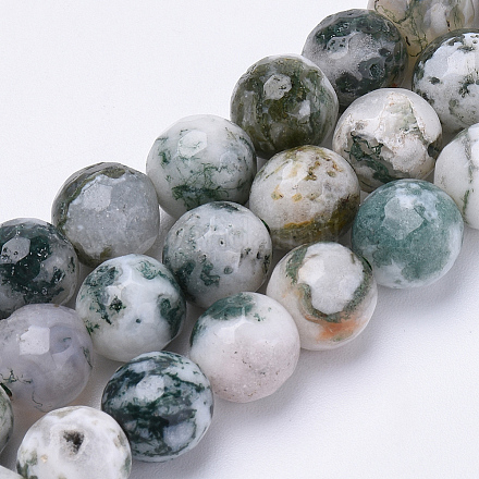 Chapelets de perles en agate d'arbre naturelle G-S281-15-6mm-1