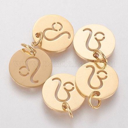 304 Stainless Steel Charms STAS-Q201-T445-5G-1