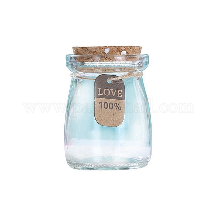 Bottiglia di vetro vuota dei desideri PW-WG19839-01-1