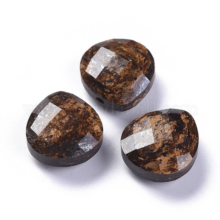 Natürliche Bronzit-Reize G-L547-044E-1