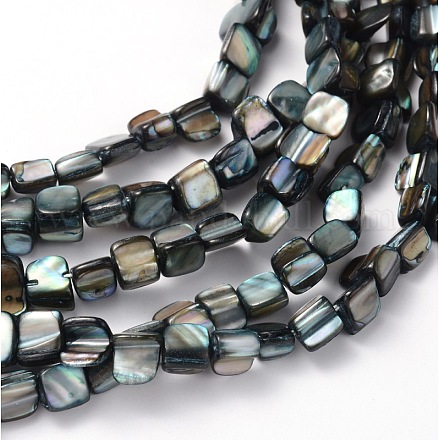 Erose Natural Shell Beads Strands X-PBB070Y-1