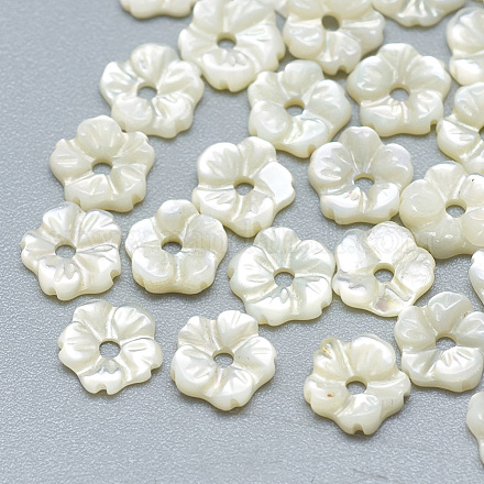 Perles de coquillage blanc naturel SSHEL-S260-012-1