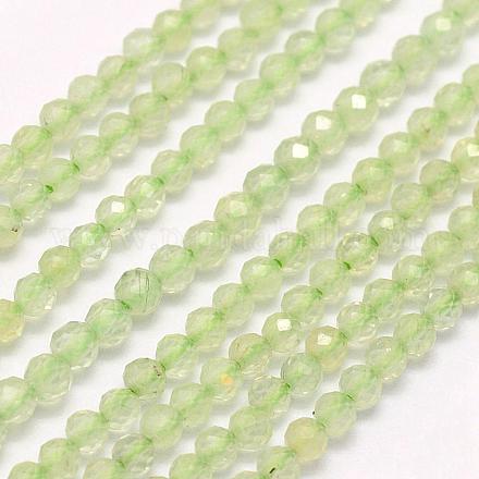 Chapelets de perles en préhnite naturelle G-F509-30-2mm-1