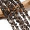 Natural Smoky Quartz Chips Beads Strands, 5~8mm, Hole: 1mm, 32 inch