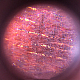 Abs plastica ad alto ingrandimento chiaro magnifier clip del telefono mobile AJEW-L073-12-9