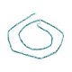 Chapelets de perles en turquoise naturelle G-I249-D01-2
