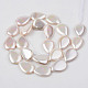 Electroplate Natural Freshwater Shell Beads Strands SHEL-R049-026B-2