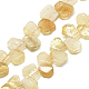 Natural Citrine Beads Strands G-R424-01-1