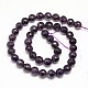Natural Amethyst Round Bead Strands G-N0081-10mm-25-3