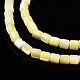 Coquille de trochid naturel / brins de perles de coquille de trocas SSHEL-N034-77-C06-3