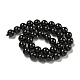 Natural Black Tourmaline Beads Strands G-G763-01-10mm-AB-5