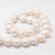 Chapelets de perles en coquille BSHE-L028-01-16x18-2