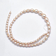 Natural Cultured Freshwater PearlBeads Strands PEAR-K003-21A-2