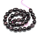 Natural Garnet Beads Strands G-S151-01A-2