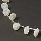 Guscio bianco naturale madreperla perle di conchiglia BSHE-B005-07-3
