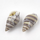 Perles de coquillages en spirale SSHEL-S251-05-2