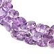 Natürlichen Amethyst Perlen Stränge&nbsp;G-Z152-B01-02-4