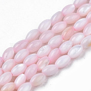 Нити бусин из натуральных пресноводных ракушек SHEL-N003-25-B06
