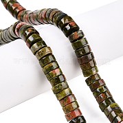 Природные Unakite бисер нитей G-T138-51