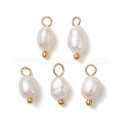 Natürliche Süßwasserperlen Kartoffel Charms, mit Messing-Schleifen, golden, 13x4.5 mm, Bohrung: 2 mm