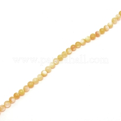 Shell perle naturali fili&nbsp;BSHE-WH0007-10