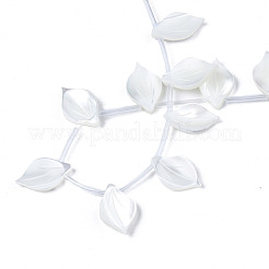 Bianco naturale perline shell fili&nbsp;SSHEL-S278-119