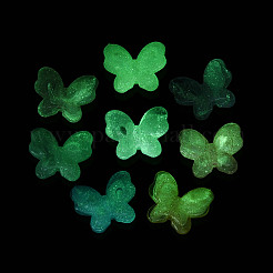 Светящиеся прозрачные акриловые бусины&nbsp;LACR-N002-02