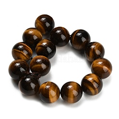 Chapelets de perles d'œil de tigre naturel&nbsp;G-C293-A01-14mm