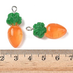 Подвески из непрозрачной смолы&nbsp;LS-RESI-Z040-05P