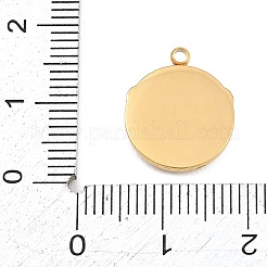 Pendentifs en strass en acier inoxydable 304&nbsp;RB-CBA4809-22G-02