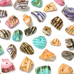 125 г 5-х цветов натуральных бусин-ракушек&nbsp;BSHE-FS0001-06A