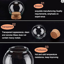 Стеклянный купол&nbsp;FIND-WH0152-555