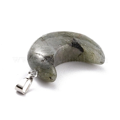 Природные подвески лабрадорита&nbsp;G-Z022-02A
