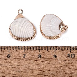 Colgantes de conchas marinas naturales con adornos de latón dorado galvanizado&nbsp;SSHEL-N042-30