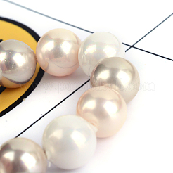 Браслеты оболочки жемчужина стрейч&nbsp;BJEW-Q674-8mm-01