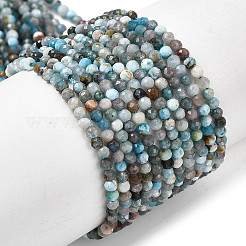 Природного апатита нитей бисера&nbsp;G-K366-C05-2mm