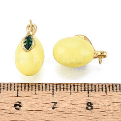 Подвески из нержавеющей стали 304 с эмалью&nbsp;STAS-T069-48