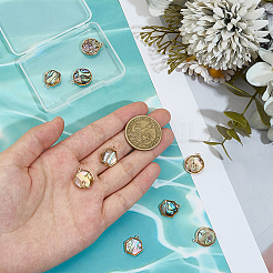 12 шт. 2 стиля плоские круглые шестиугольные подвески из натуральной ракушки пауа&nbsp;KK-DR0001-41A