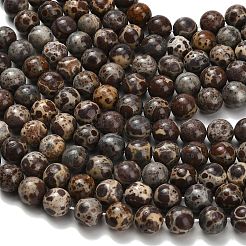 Нити бусин из натурального астроита и яшмы&nbsp;LS-G-H329-C02-10mm