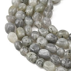 Natur Labradorit Perlen Stränge&nbsp;G-P623-A03-01