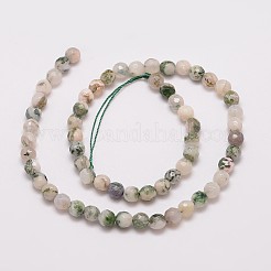 Натуральное дерево нитей агата шарик&nbsp;G-G882-6mm-E02