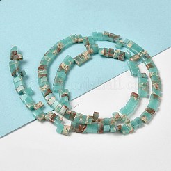 Regalite synthétique / jaspe impérial / perles de jaspe de sédiments marins&nbsp;G-Z045-A20-01