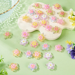 30шт 6 цвета прозрачные подвески из смолы&nbsp;RESI-TA0004-74