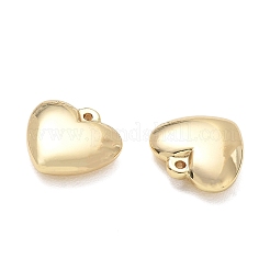 Pendentifs en acier inoxydable 304&nbsp;SA-CBA3037-20G-09