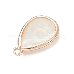 Подвески-капли из натуральных ракушек пауа&nbsp;PALLOY-JF03762-01