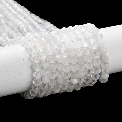 Бусины из натурального радужного лунного камня&nbsp;LS-G-J400-E12-01